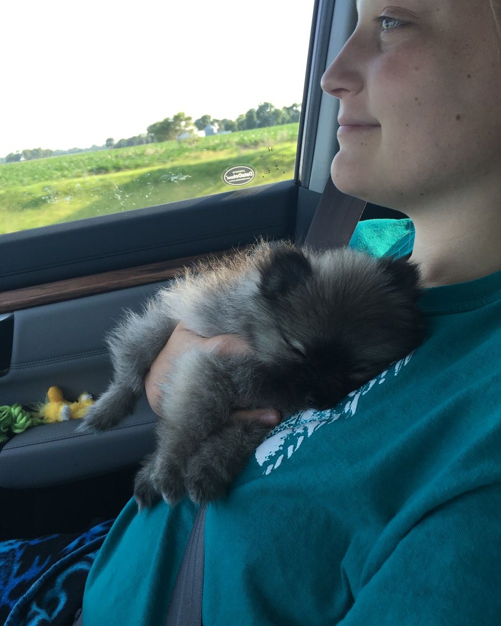 The drive home
