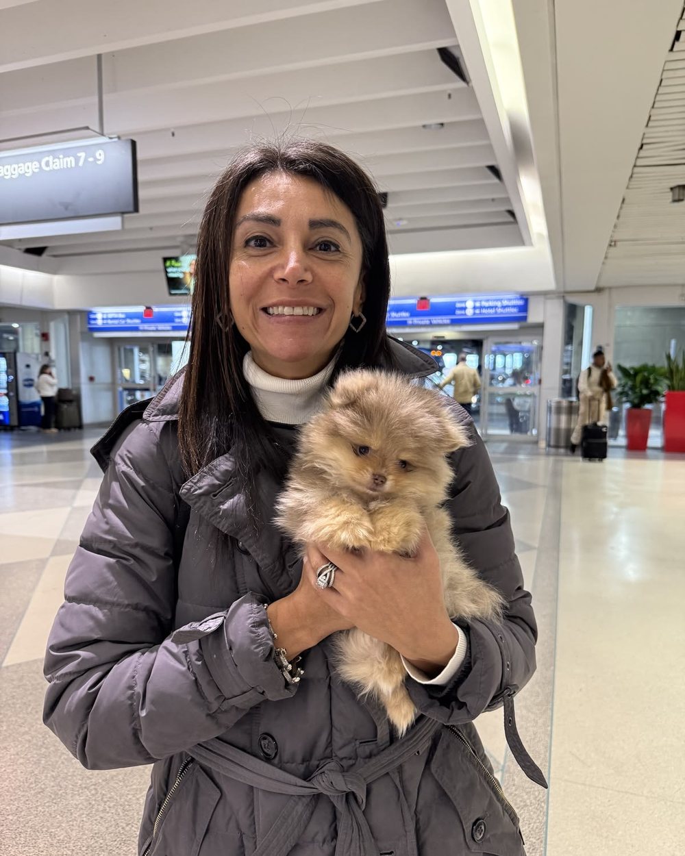 A puppy collected at the airport